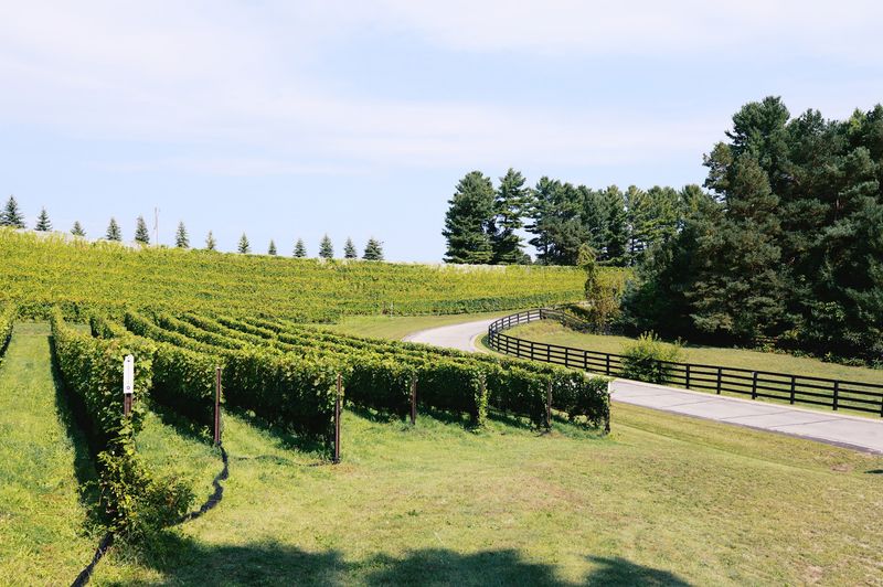 Black Star Farms, Suttons Bay, Michigan