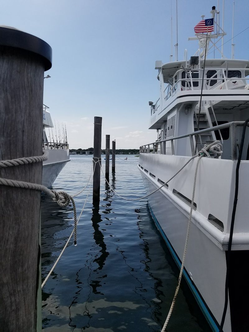 Blackfish, Red Bank, NJ
