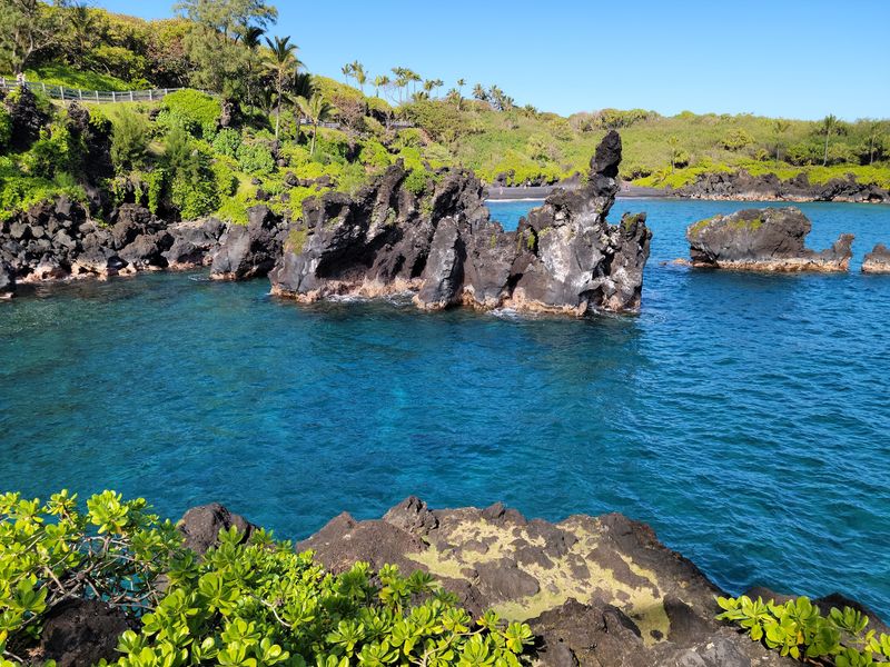 Blowholes and Crashing Surf