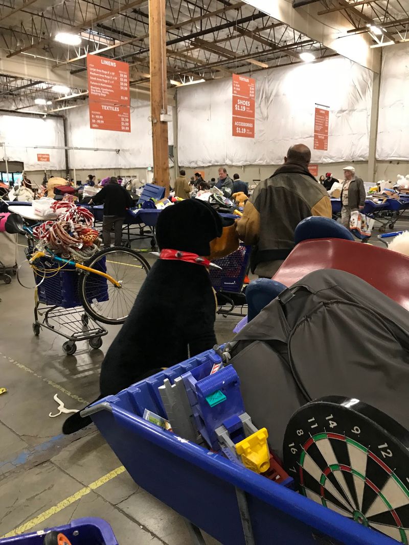 Blue Bins Packed With Everyday Treasures