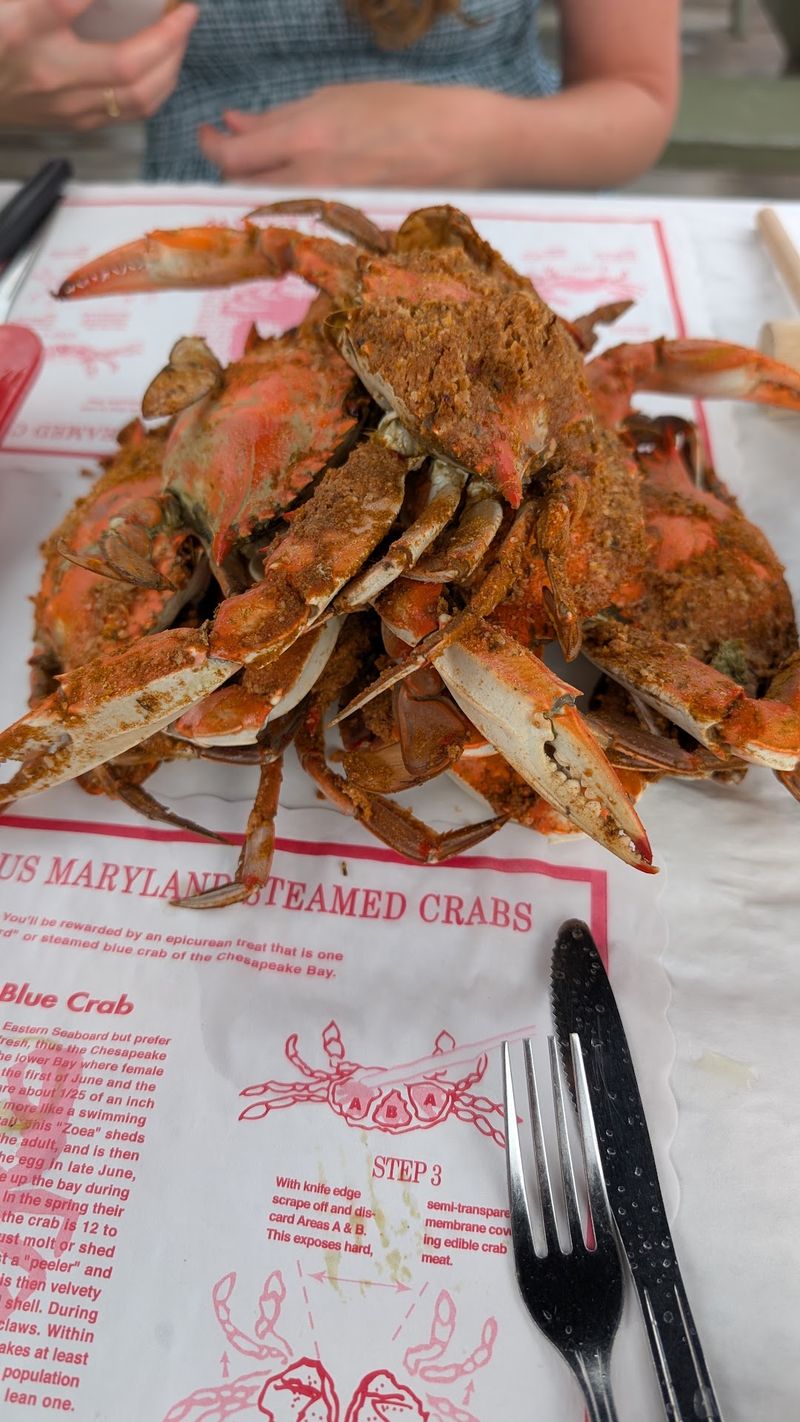 Blue Crabs And The Hammer Ritual