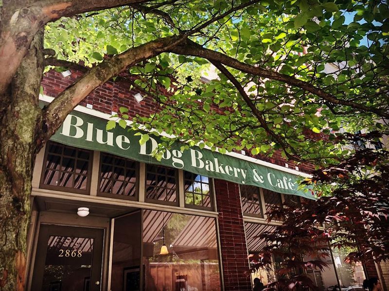 Blue Dog Bakery and Cafe, Louisville