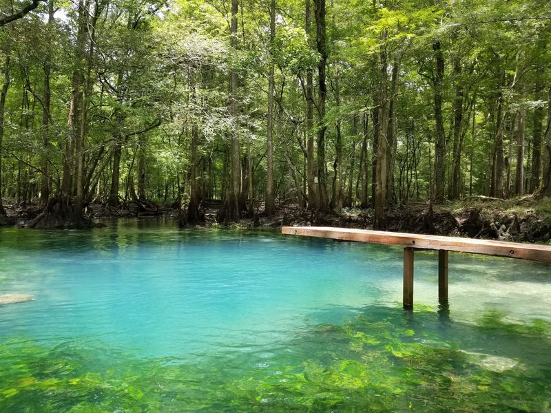 Blue Hole Spring And The Cold Plunge