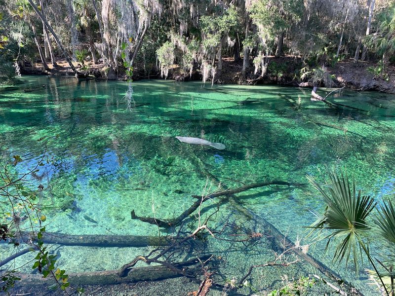 Blue Spring State Park, Orange City