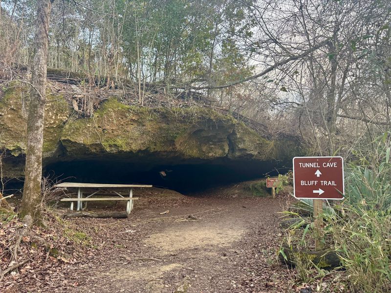 Bluff Trails With Rare Ups And Downs