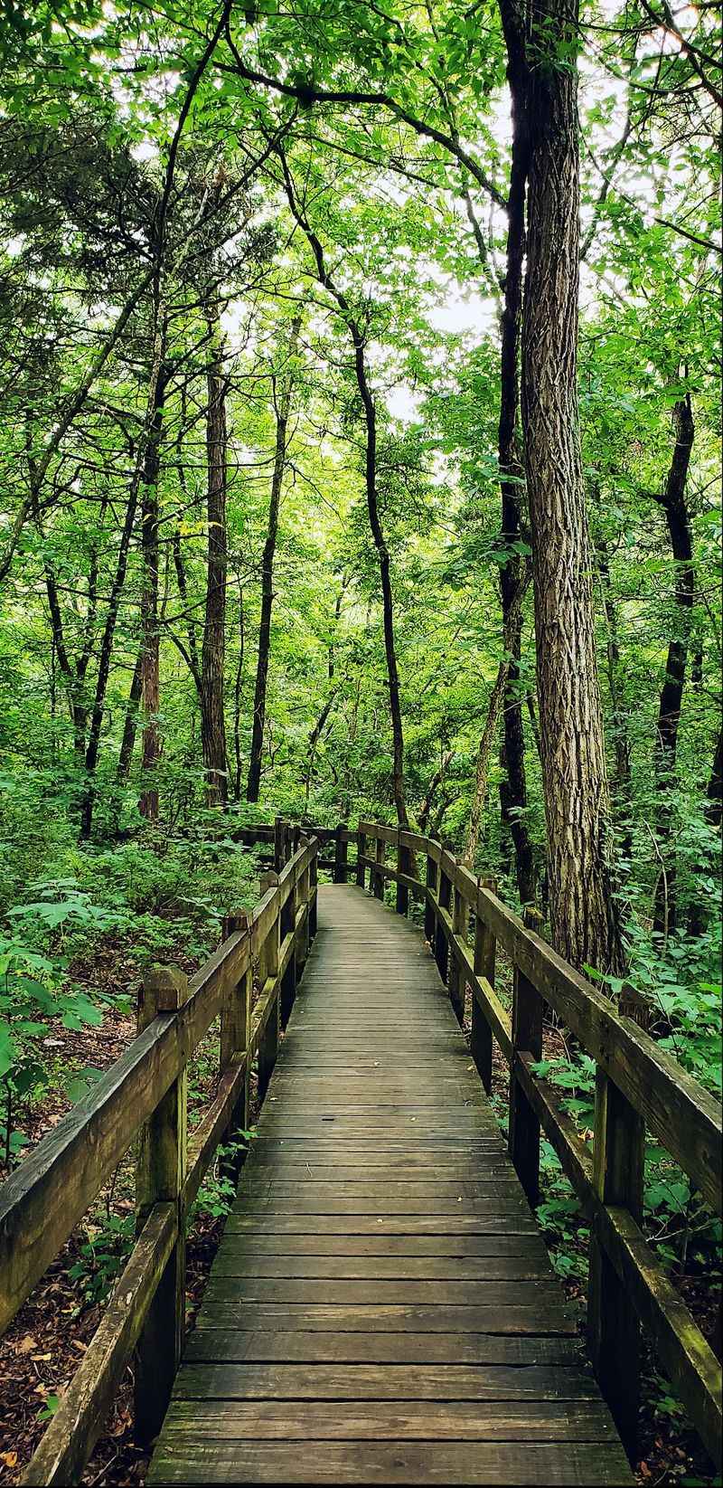 Boardwalks And Trails For Every Kind Of Walker