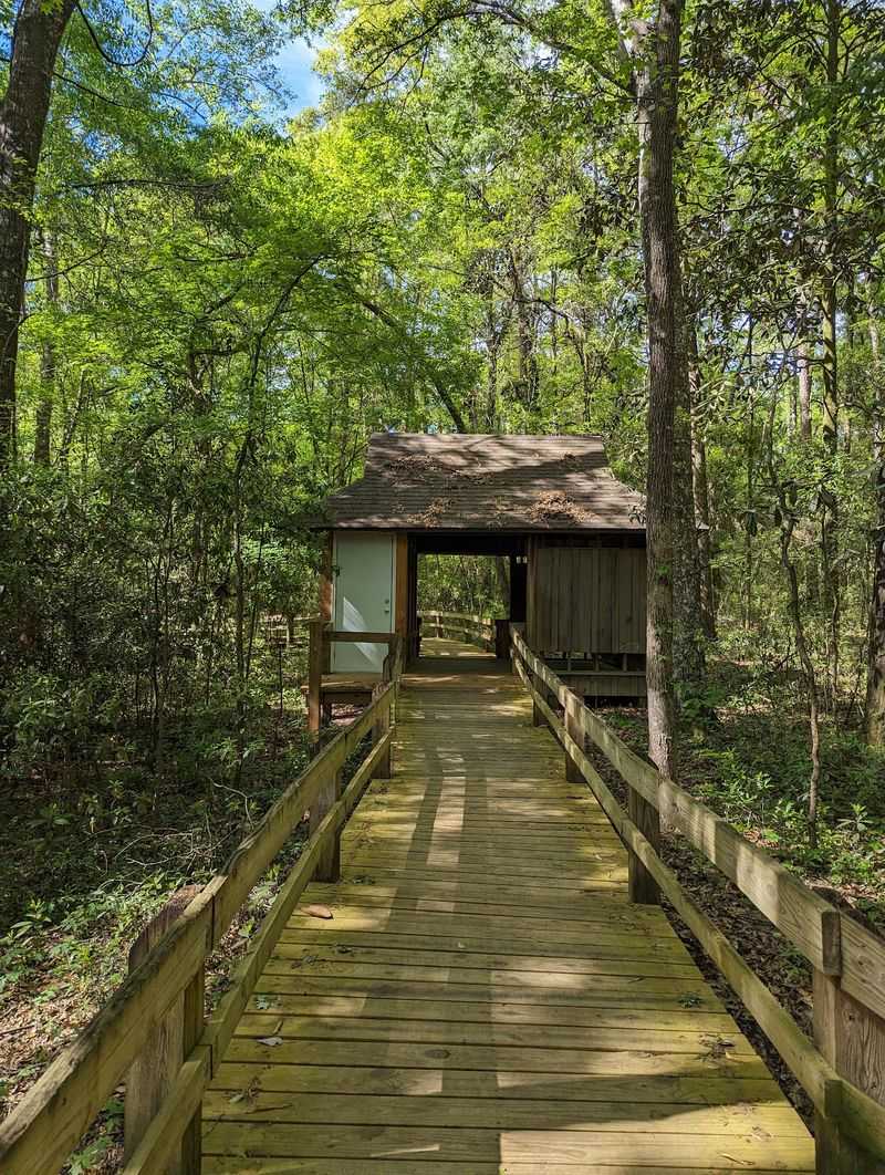 Boardwalks And Trails Through Wetland And Forest