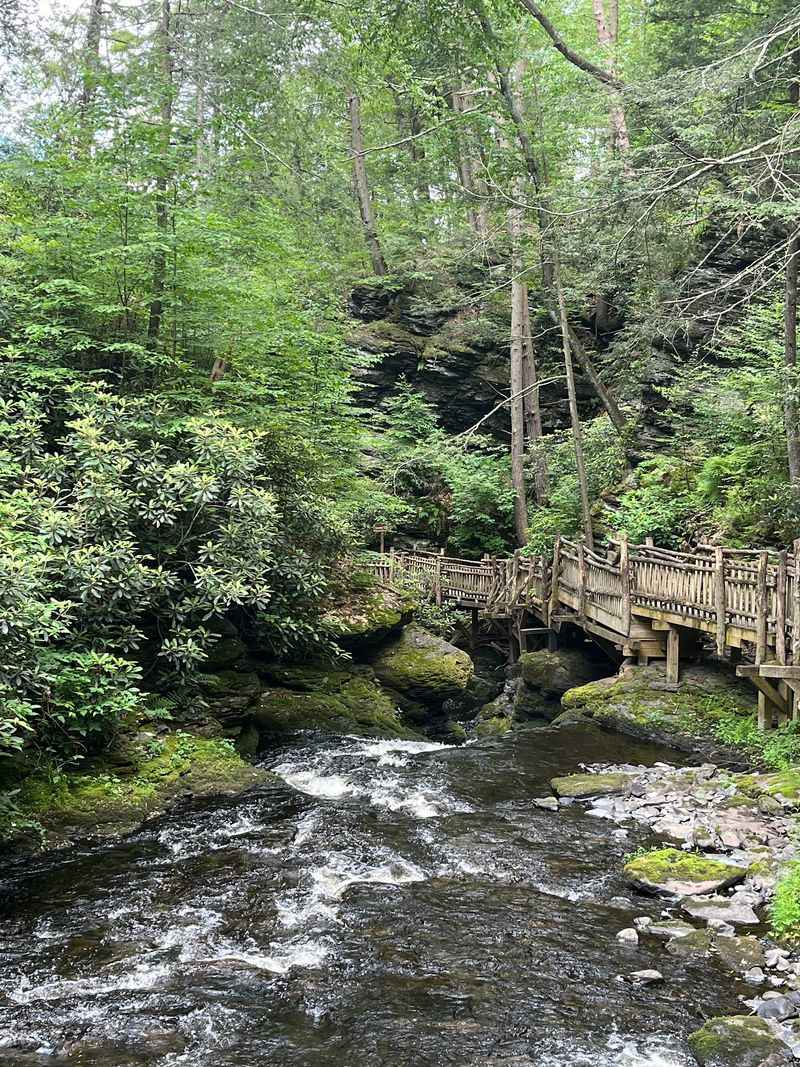 Boardwalks, Bridges, and All Those Stairs