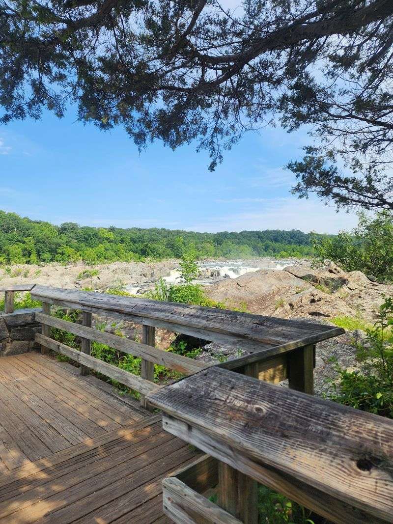 Boardwalks and the Walk to Olmsted Island