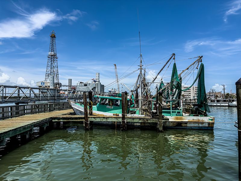 Boat To Table, The Short Trip From Gulf To Plate Boat To Table, The Short Trip From Gulf To Plate