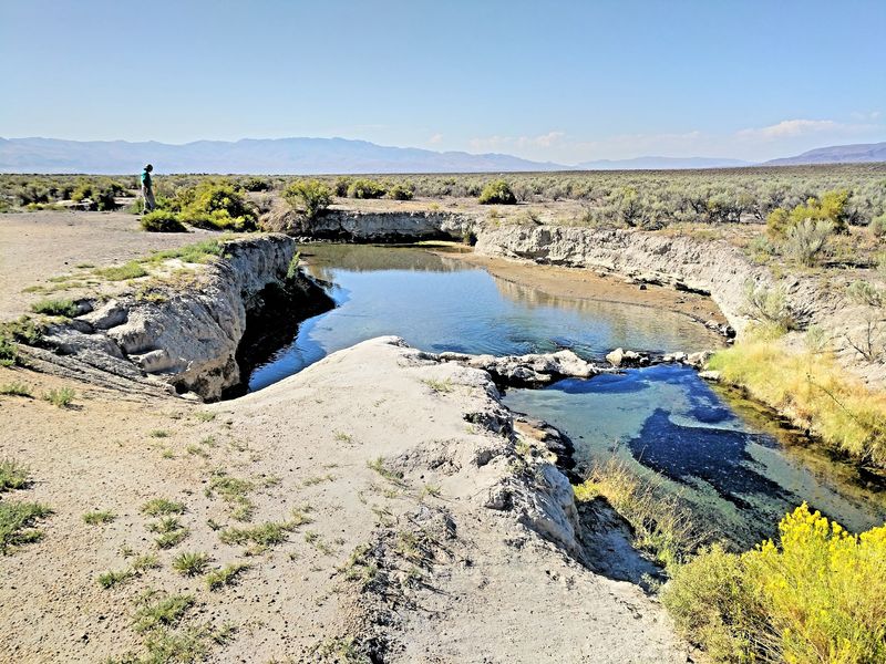 Bog Hot Springs, near Denio Bog Hot Springs, near Denio