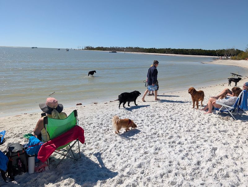 Bonita Beach Dog Park - Fort Myers Beach, Florida