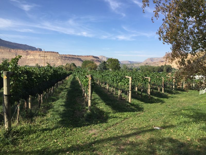 Bookcliff Vineyards, Palisade, Colorado