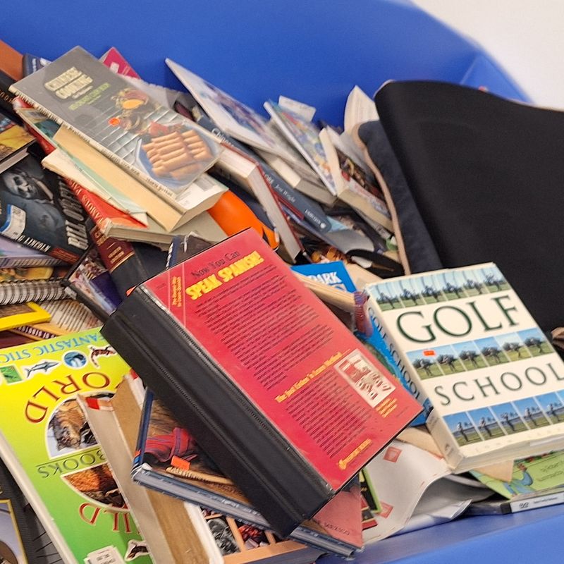 Books and More Hiding in the Bins Books and More Hiding in the Bins