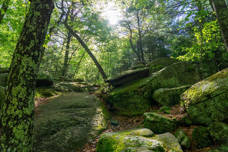 Boulders Made For Climbing Boulders Made For Climbing