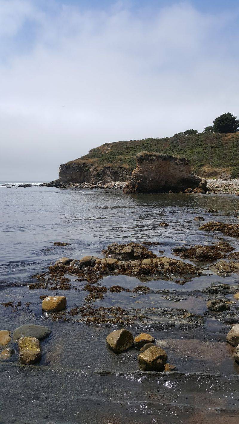 Bowling Ball Beach - Point Arena