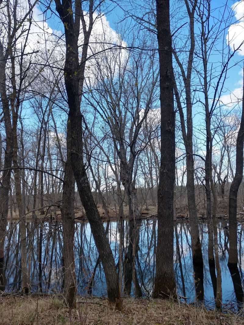 Brainerd