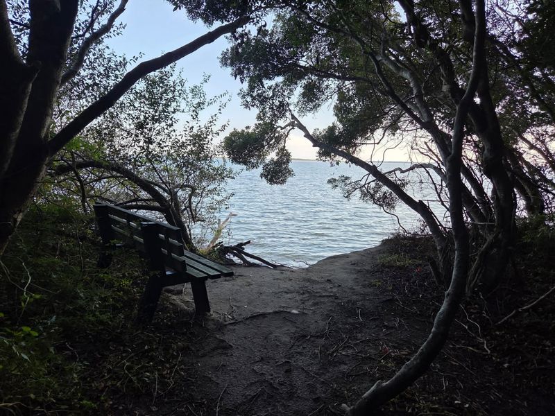 Breathtaking Views of Assateague Island