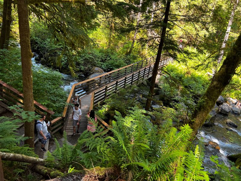 Bridges, Benches And A Handy Shelter