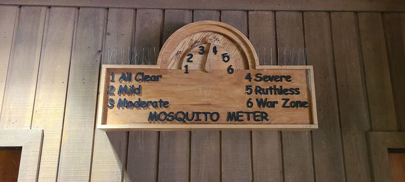 Bugs, Humidity, And Honest Warnings