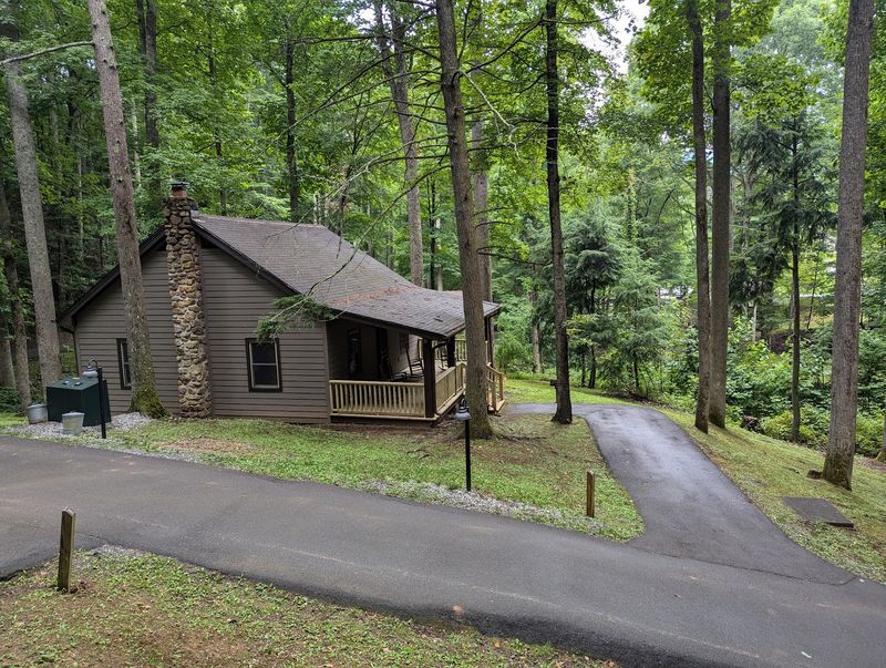 Cabins Built for Unplugging