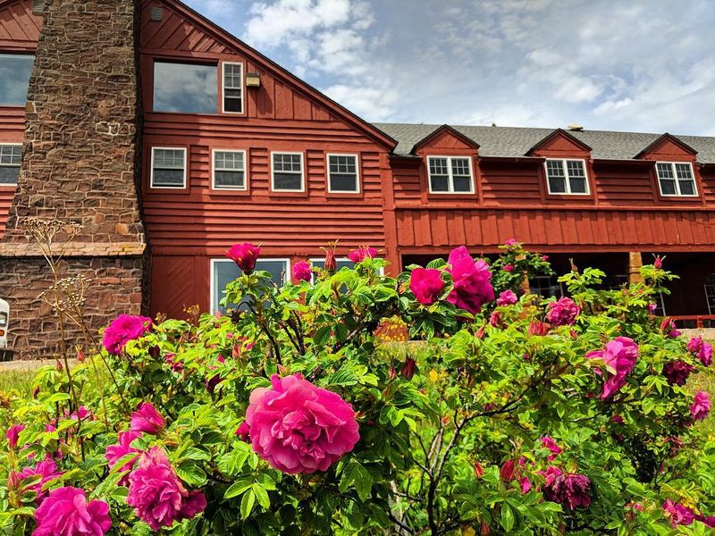 Cabins, Condos, And Villas For Every Group