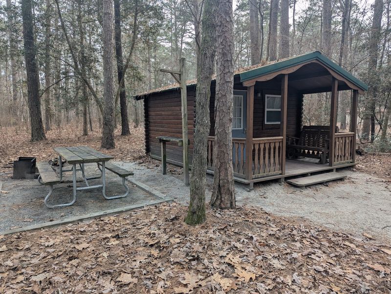 Cabins For Campers Who Skip The Tent
