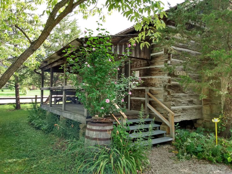 Cabins, Studios, And Places To Stay
