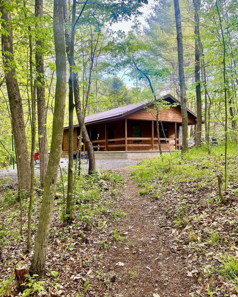 Cabins That Feel Like Home Base