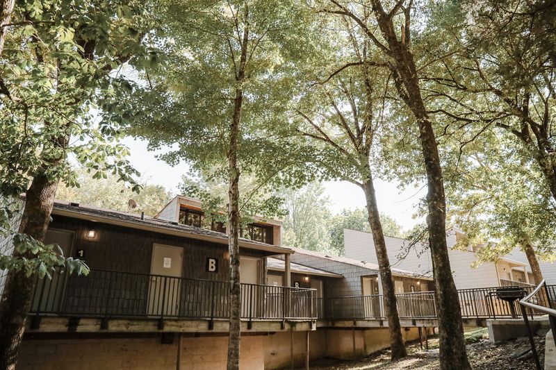 Cabins That Feel Like Townhomes