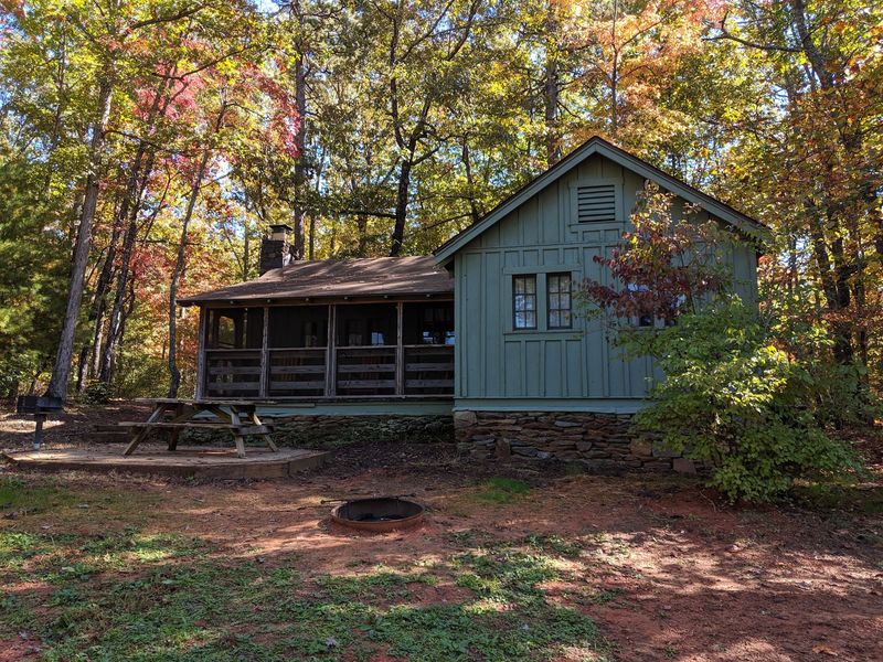 Cabins That Feel Like a Cozy Home