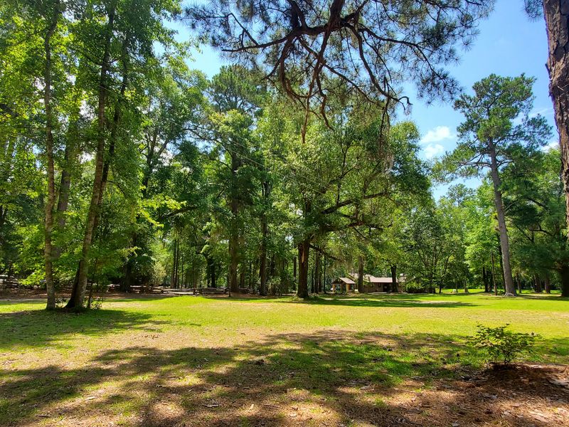 Cabins and a Peaceful Campground