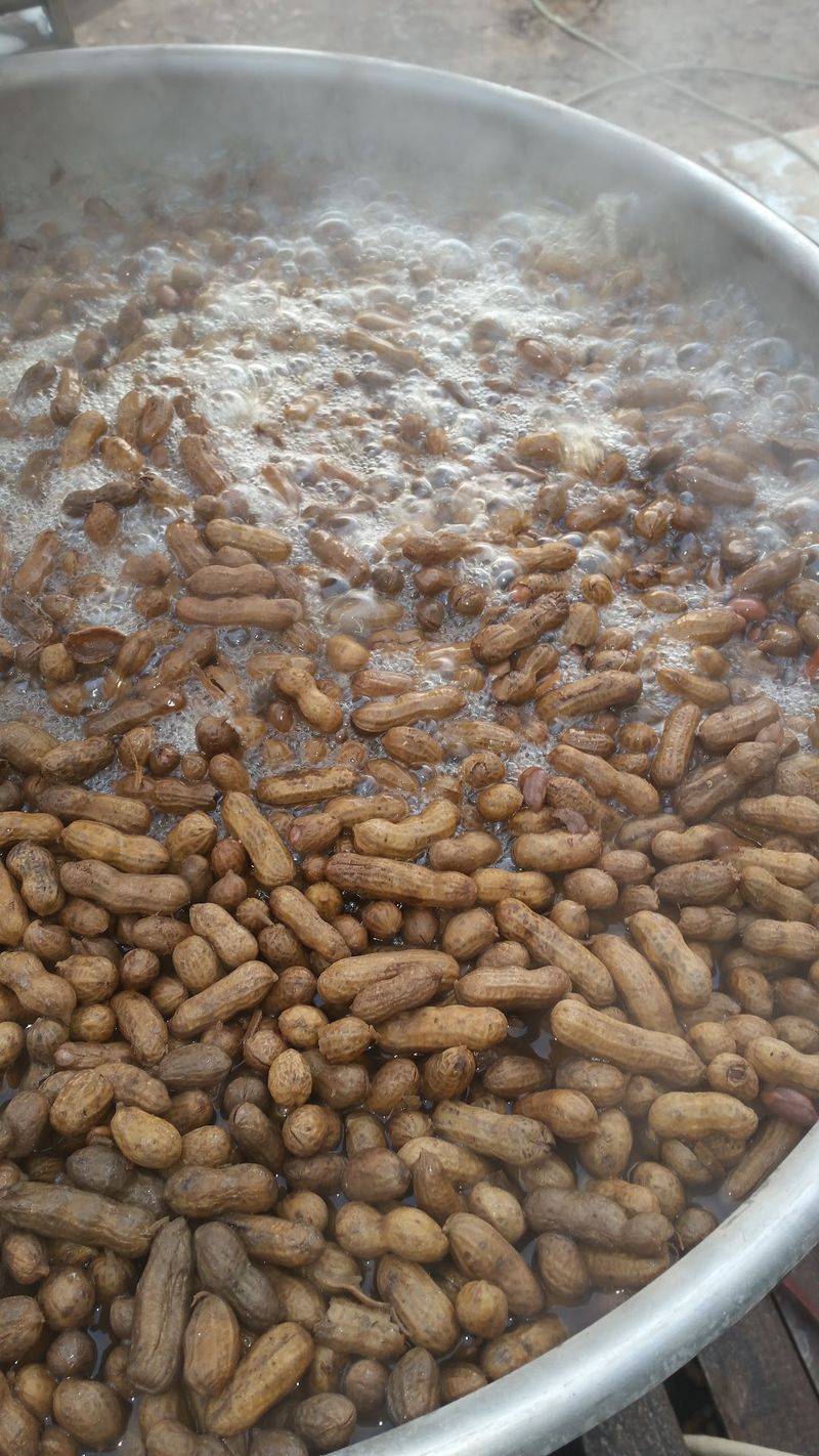 Cajun-Style Boiled Peanut Stands, Coastal Georgia