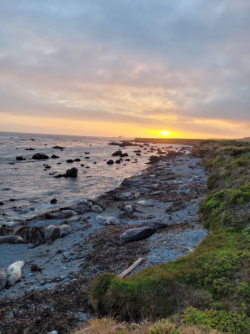 Cambria, San Luis Obispo County