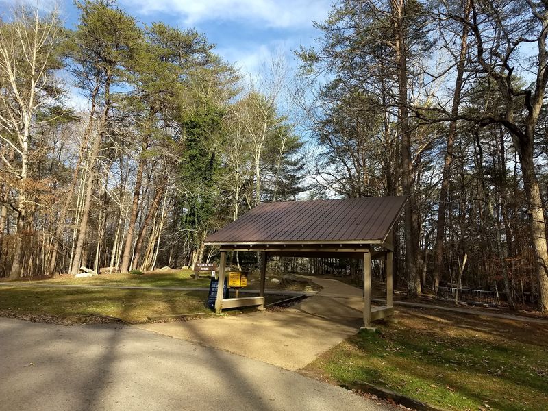 Campgrounds Tucked Into The Woods