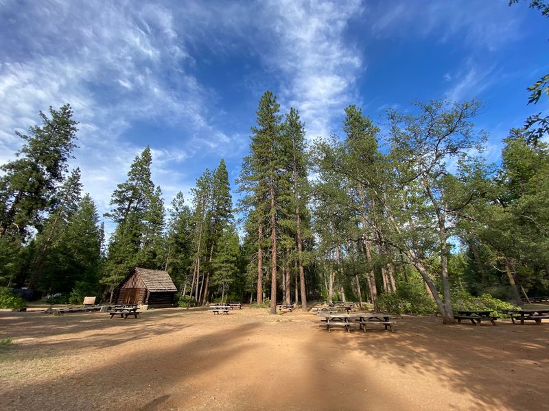 Camping And Cabins Beneath The Pines