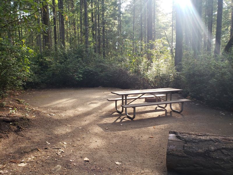 Camping Deep In The Woods