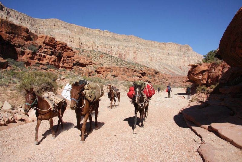 Camping, Lodging, And Getting Back Out