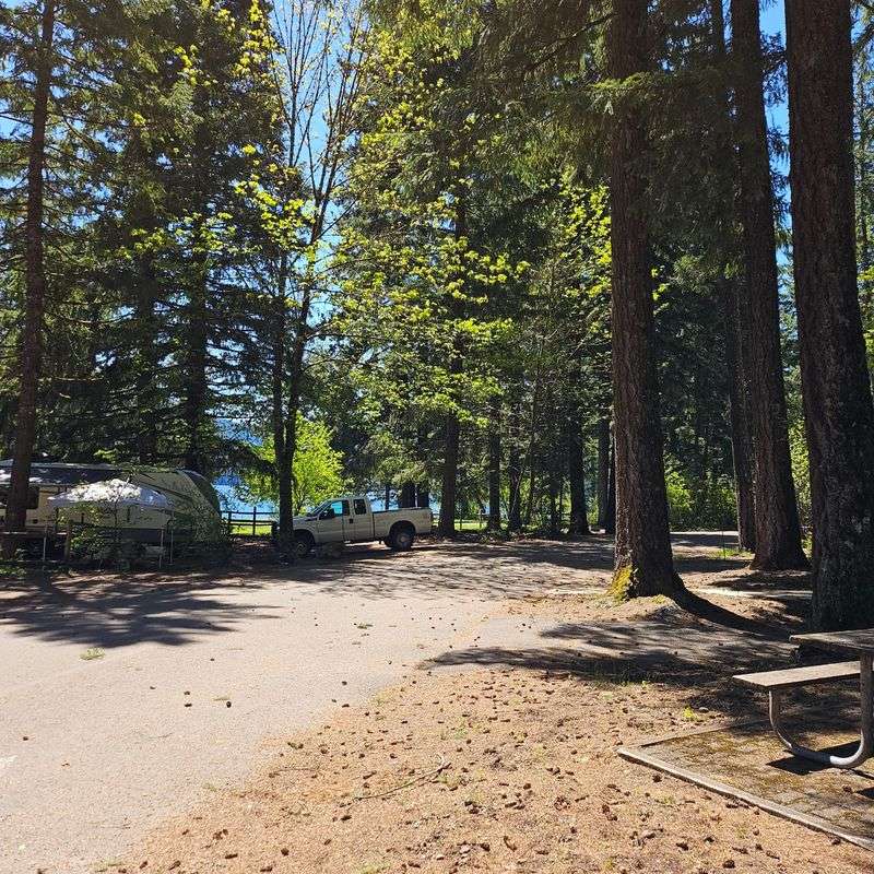 Camping Loops Tucked Beneath The Trees