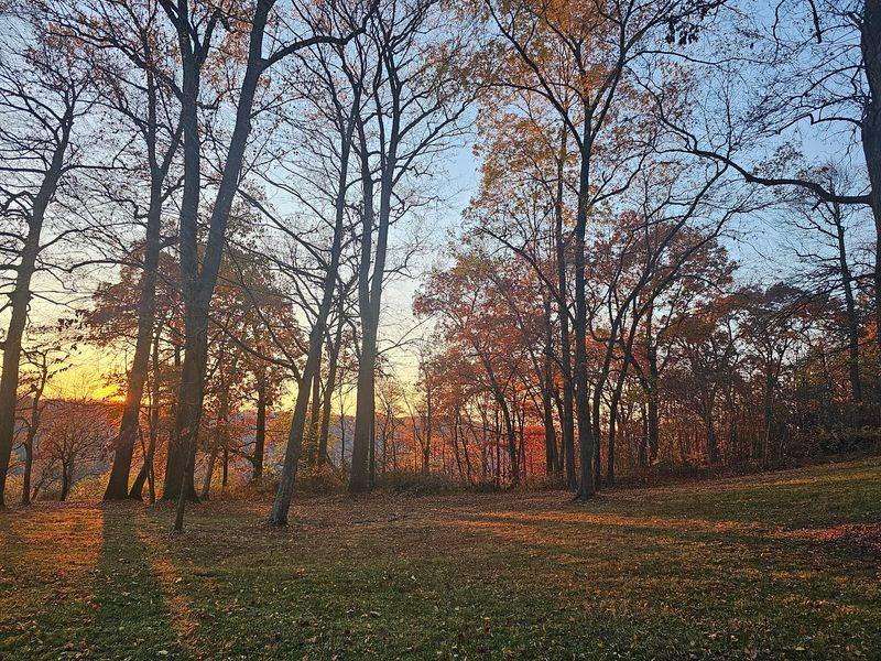 Camping Options for an Overnight Adventure Camping Options for an Overnight Adventure