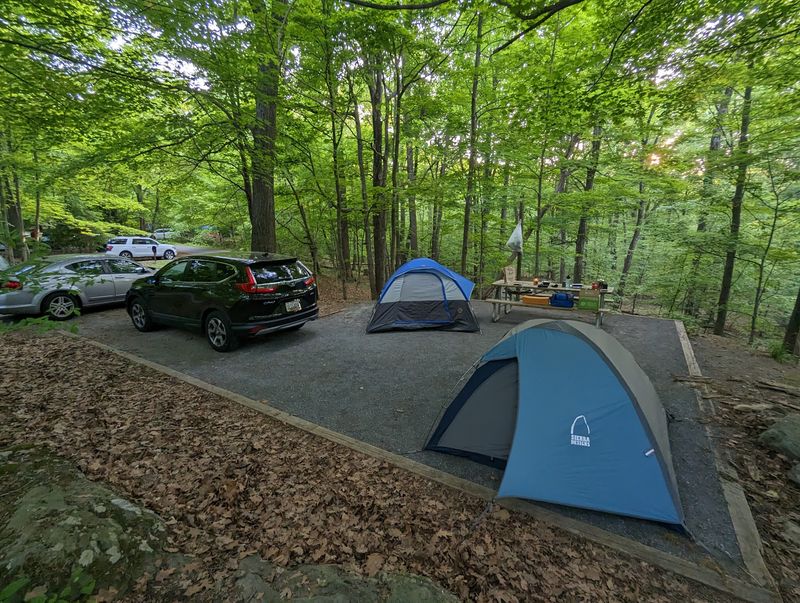 Camping Under The Catoctin Canopy