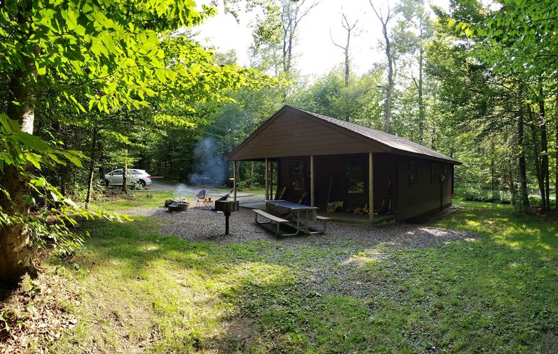 Camping Under The Tall Trees