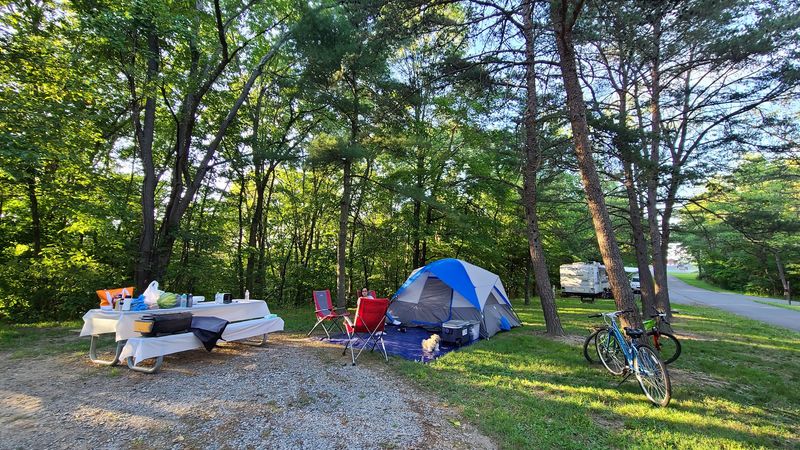 Camping Under the Big Hardwoods