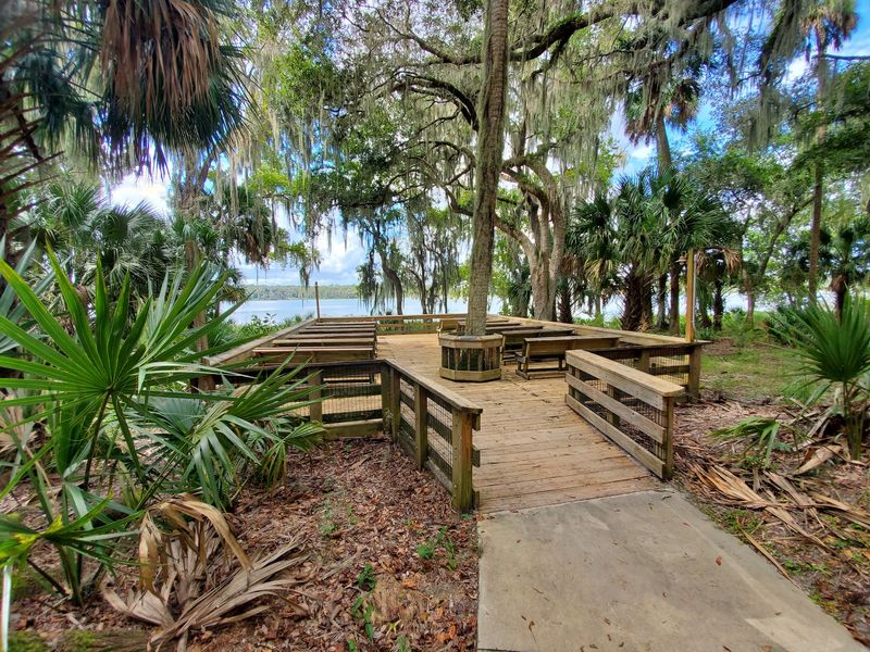 Camping Under the Florida Stars