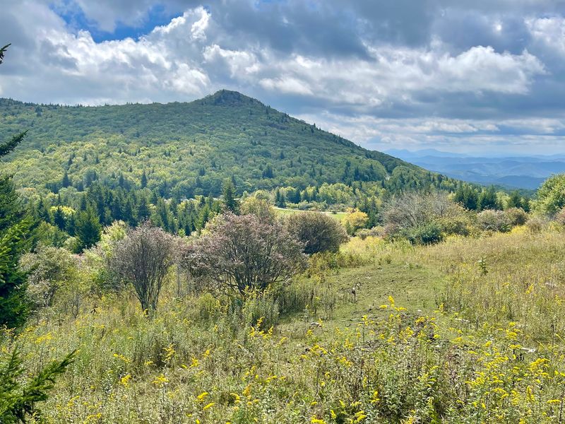 Camping Under the High-Country Stars