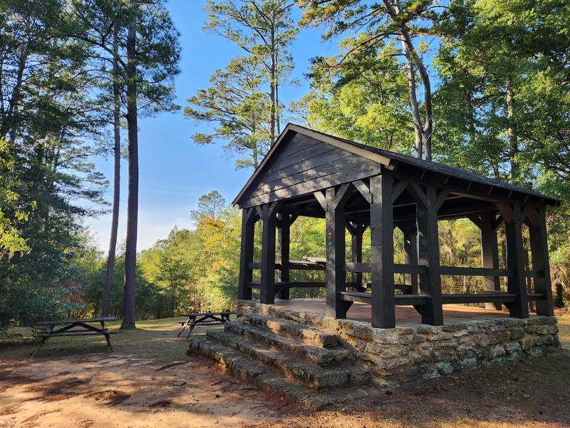 Camping and Cozy Cabins