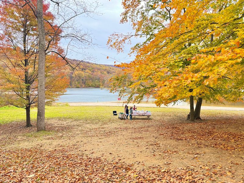 Campsites, Cabins, and a Night Under the Trees
