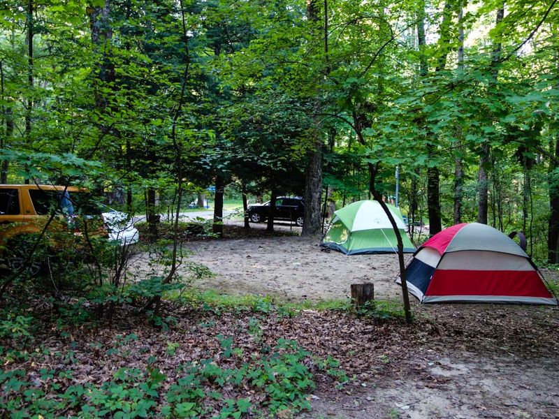 Campsites Under the Trees and Out in the Open