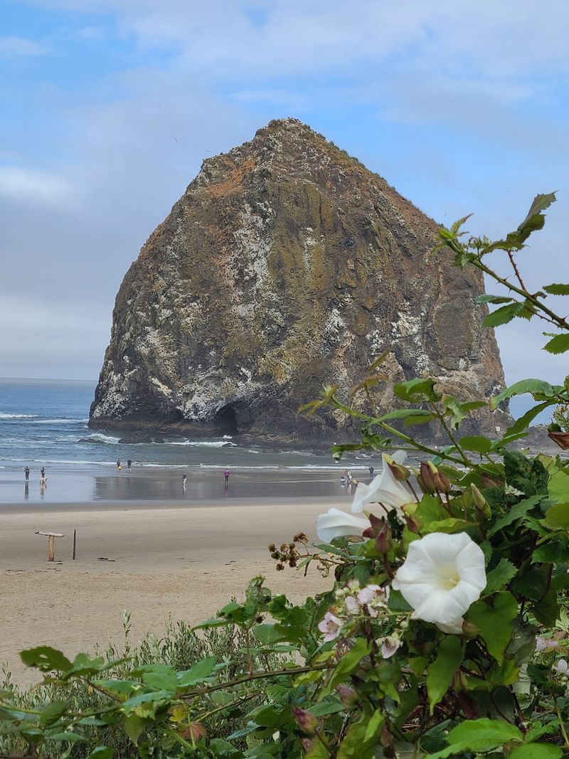 Cannon Beach, Oregon