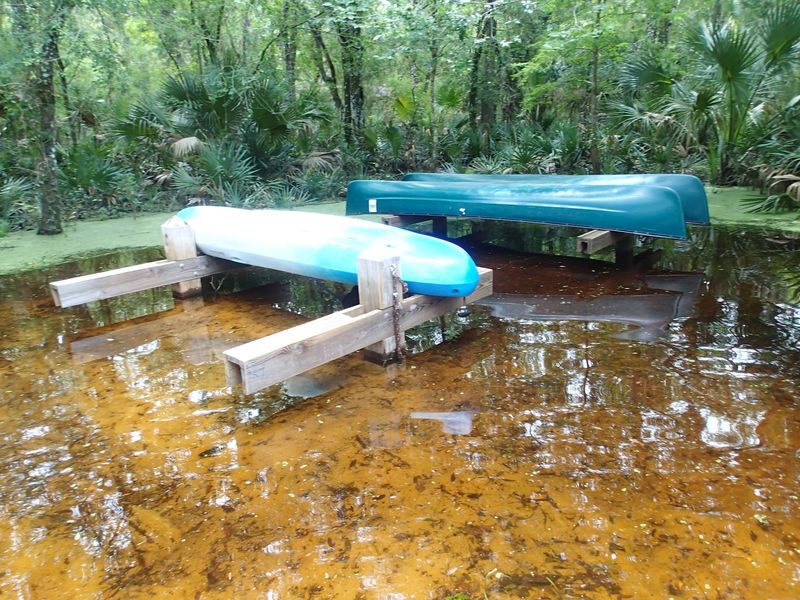Canoeing and Kayaking Through Wild Florida Canoeing and Kayaking Through Wild Florida